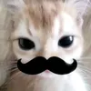 kastii69xd