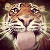 s_uban
