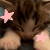 karoline.damazio33