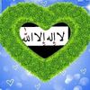 asyd7981z9g