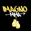 IMagno_mma