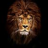 khalid23727027329156