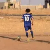 ali_l31