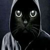 _no.name_8263
