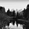 oaks_yyc