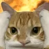 thich_.kitkat