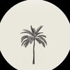 b6yyan