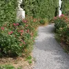 sabinab724