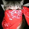 samti_99