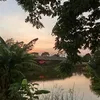 joylake18