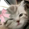 nicamay70