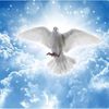 maram12301230