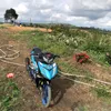 vanuong06
