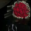 sara.harhour0