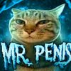 mr.p3n1_s
