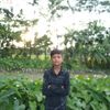 noyon25699