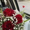 taqwa.aljmeel