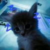 xzy_frizz