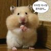 lael_760
