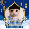 rifai.anok