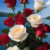 phwe.hom77
