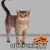 user50109018102125