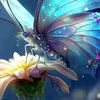 user12790393222757