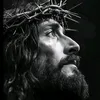 jesus_mesalvol