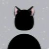 fatemeh1165