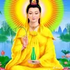 ong.nguyen434