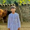 muhammad.nazam393