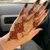 ayeshagull8934