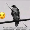 yoyok420