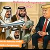 yonissaleban742