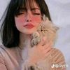 user4031240237718