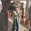 rawan.elmoghany.e
