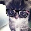 kiawaw11