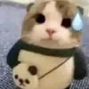 nhuiiuoi