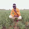 user3069692595238