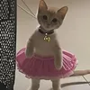 embegaujjjj