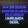 nyz.8684329184858