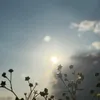 emcuagio_