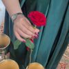 kholod_al7