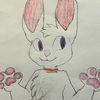 marshmallow_the_bunny_
