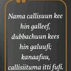 abdulazizzeynu120