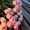 gaw_205