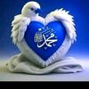 user2378285051550