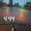 harvey365z