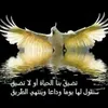 user27350982425431