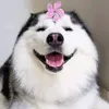 vothingocanh81